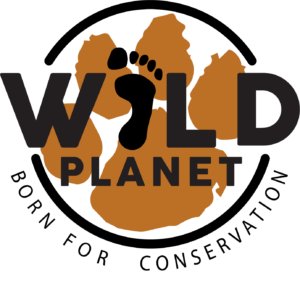 Logo eco wild planet- homestay