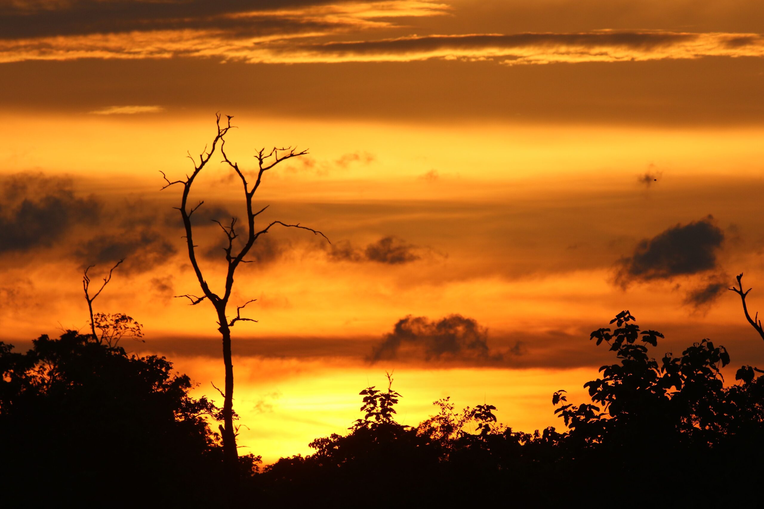 sunset in Bardia National Park