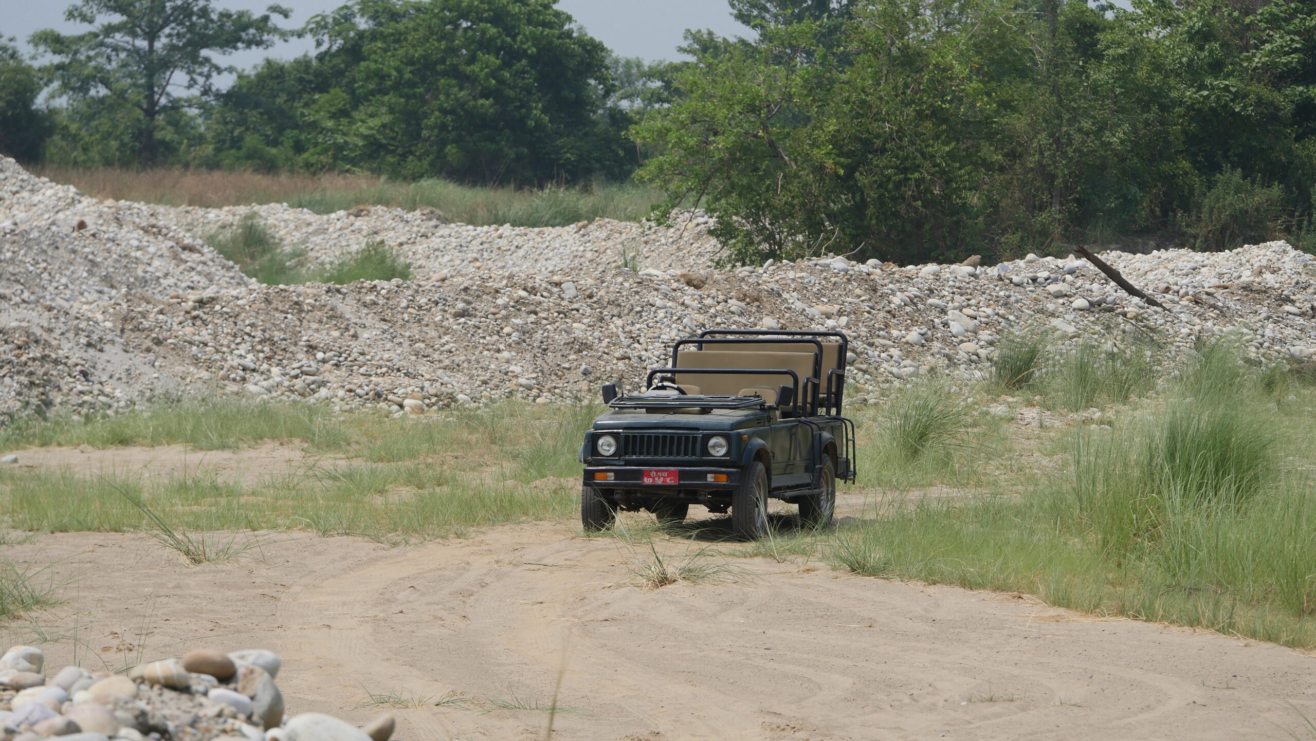 Jeep safari in Bardia National Park